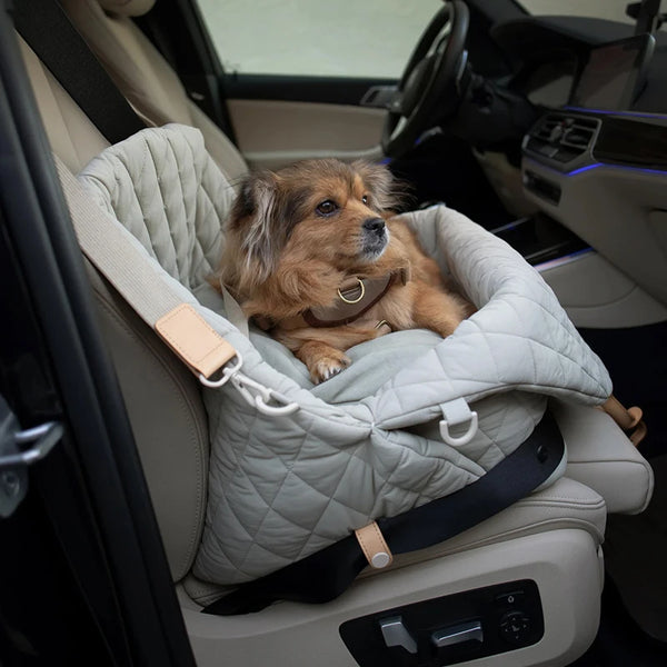 Hundväska & Hundbädd i Ett – En Trygg & Bekväm Reseplats för Din Hund