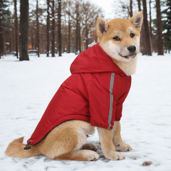 Hundjacka – Varm Regnjacka för Hund med Reflex och Fleecefoder